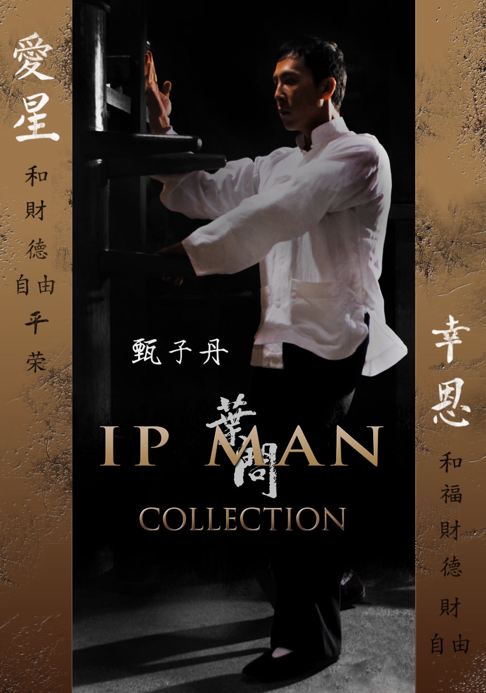 دانلود کالکشن فیلم ایپ من Ip man